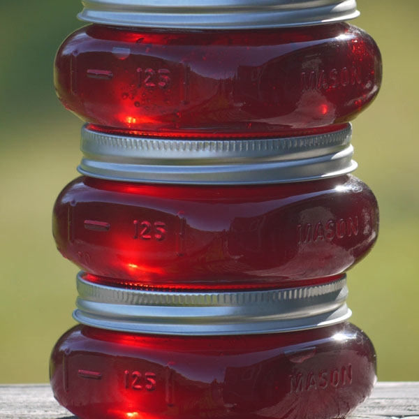 crabapple-jelly-made-using-certo-liquid-pectin-for-a-consistent-set