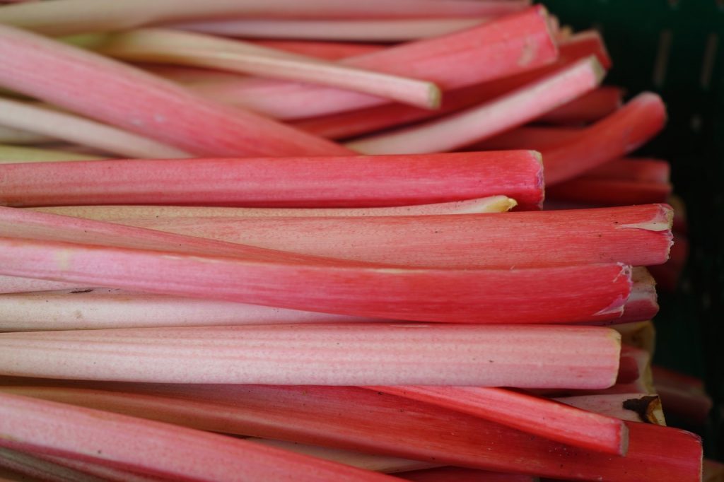 rhubarb, stalk, for apple and rhubard jam made with Certo to ensure a constant set