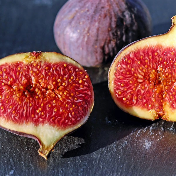 Fresh fig jam made with Certo to ensure a constant set
