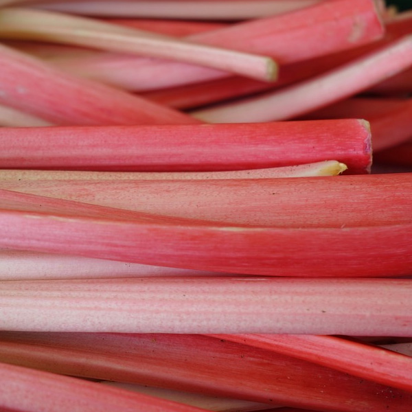 rhubarb-and-strawberry-jam-made-using-certo-liquid-pectin-for-a-consistent-set